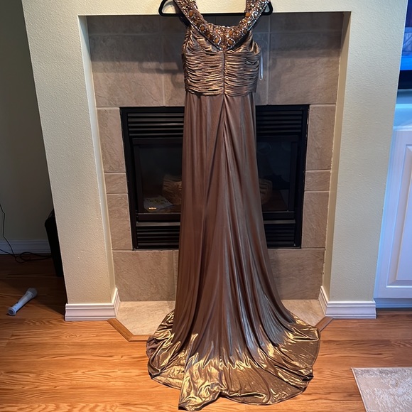 Gorgeous Terani dress - Picture 12 of 13